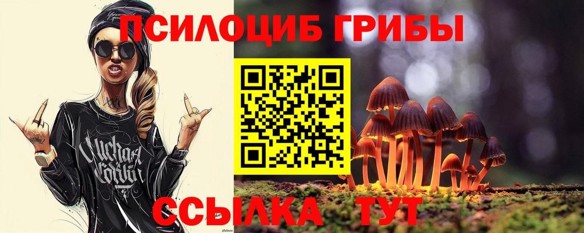 Псилоцибиновые грибы Psilocybine cubensis  Вход с VPN  Гусев 