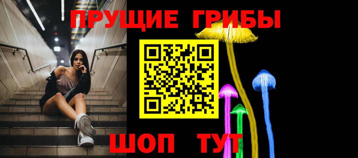 Псилоцибиновые грибы мицелий Гусев